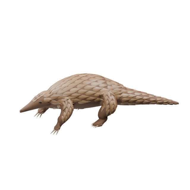 Forest Pangolin actual 3D model render