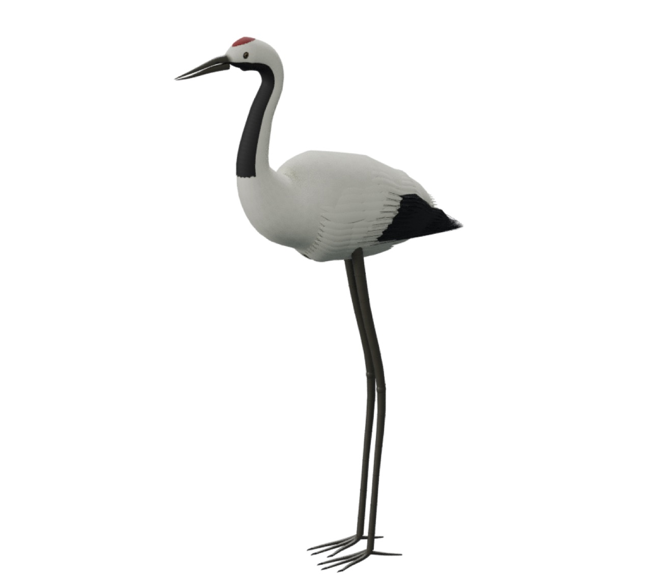 Red-Crowned Crane full model preview