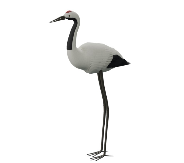 Red-Crowned Crane actual 3D model render
