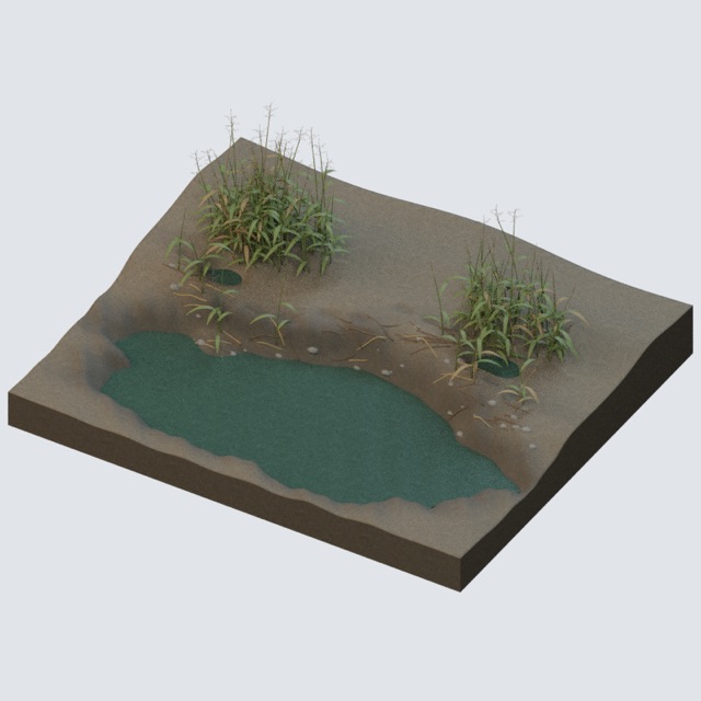 葦の湿地岸の実際の3Dモデルのレンダリング