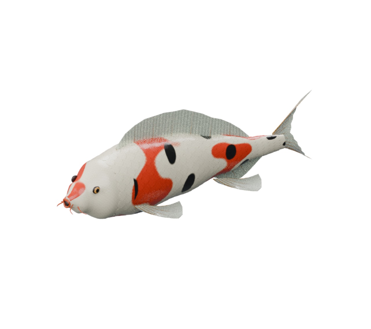 River Koi full model preview