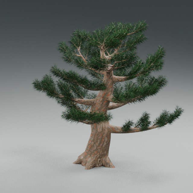 Ancient Pine actual 3D model render