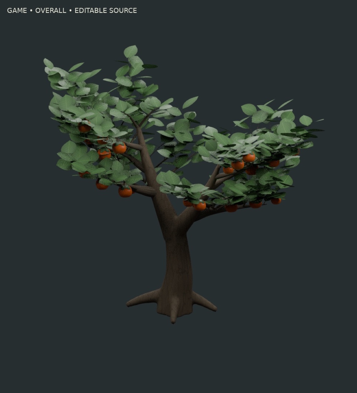 Fruiting Persimmon Tree full model preview