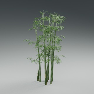 Bamboo Stand