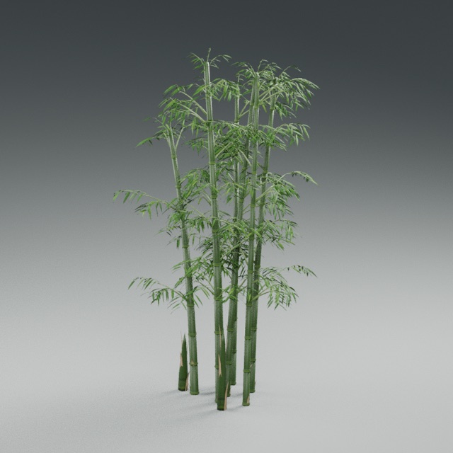 Bamboo Stand actual 3D model render