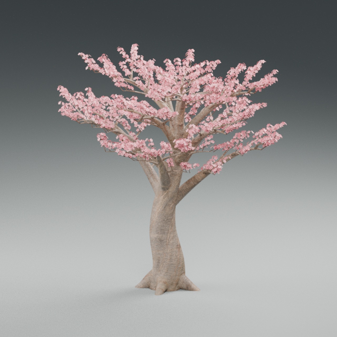 Cherry Tree full model preview