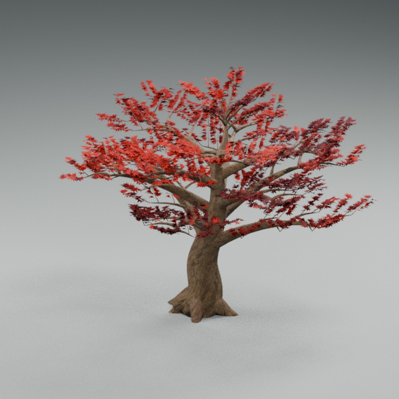 Crimson Maple full model preview