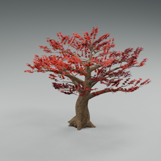 Crimson Maple actual 3D model render