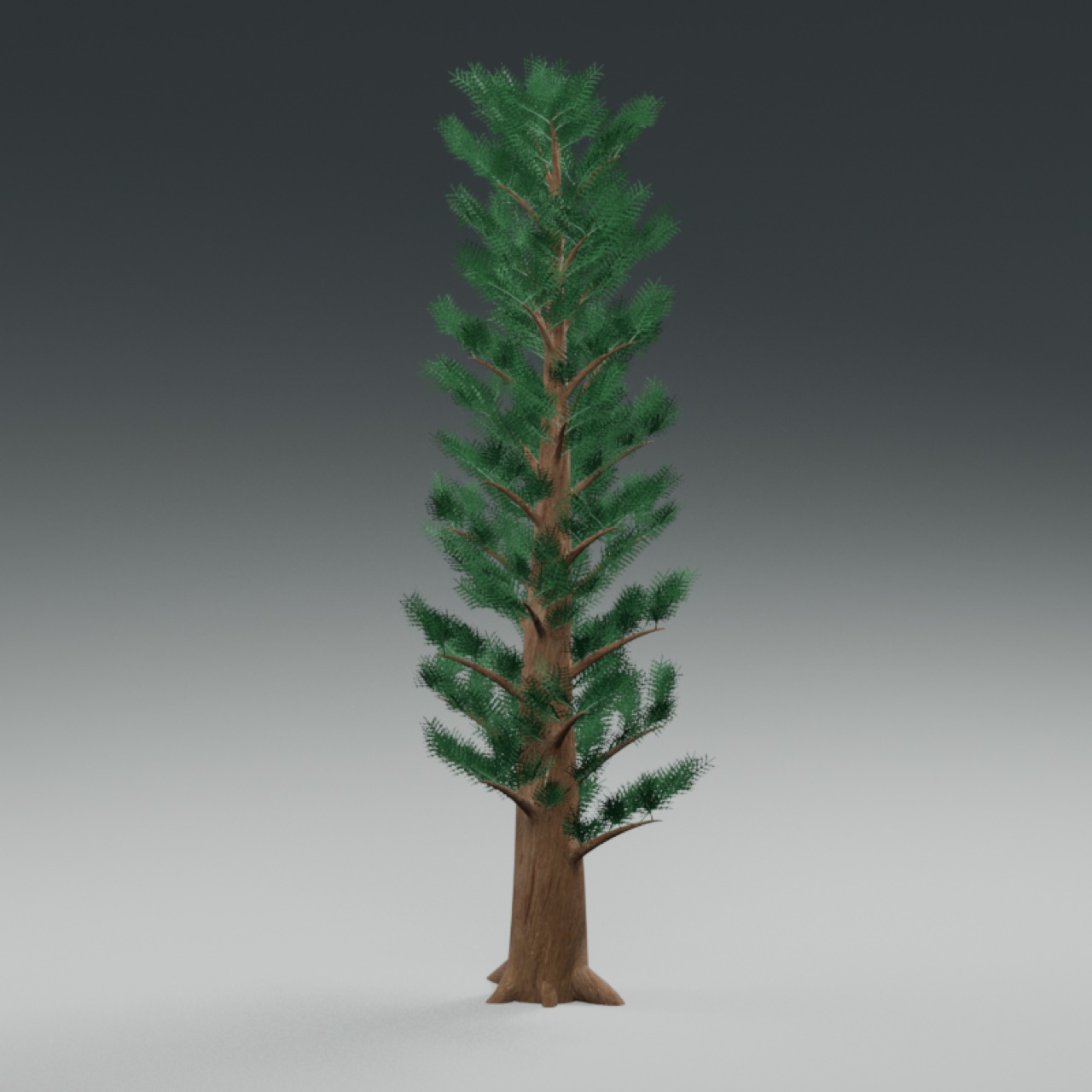 Cypress Tree full model preview