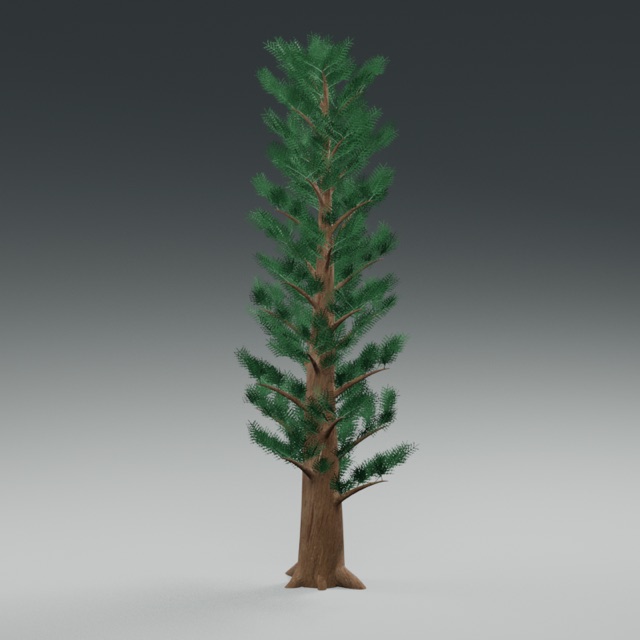 Cypress Tree actual 3D model render