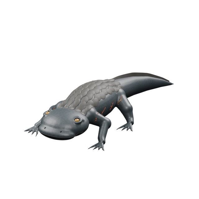 Gerenderte Vorschau des tatsächlichen 3D-Modells: Glutsalamander