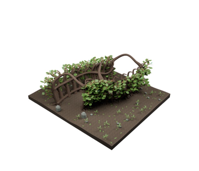 Enchanted Bramble Maze actual 3D model render