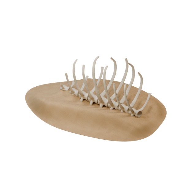 Siltwake — Leviathan Rib Dunes actual 3D model render