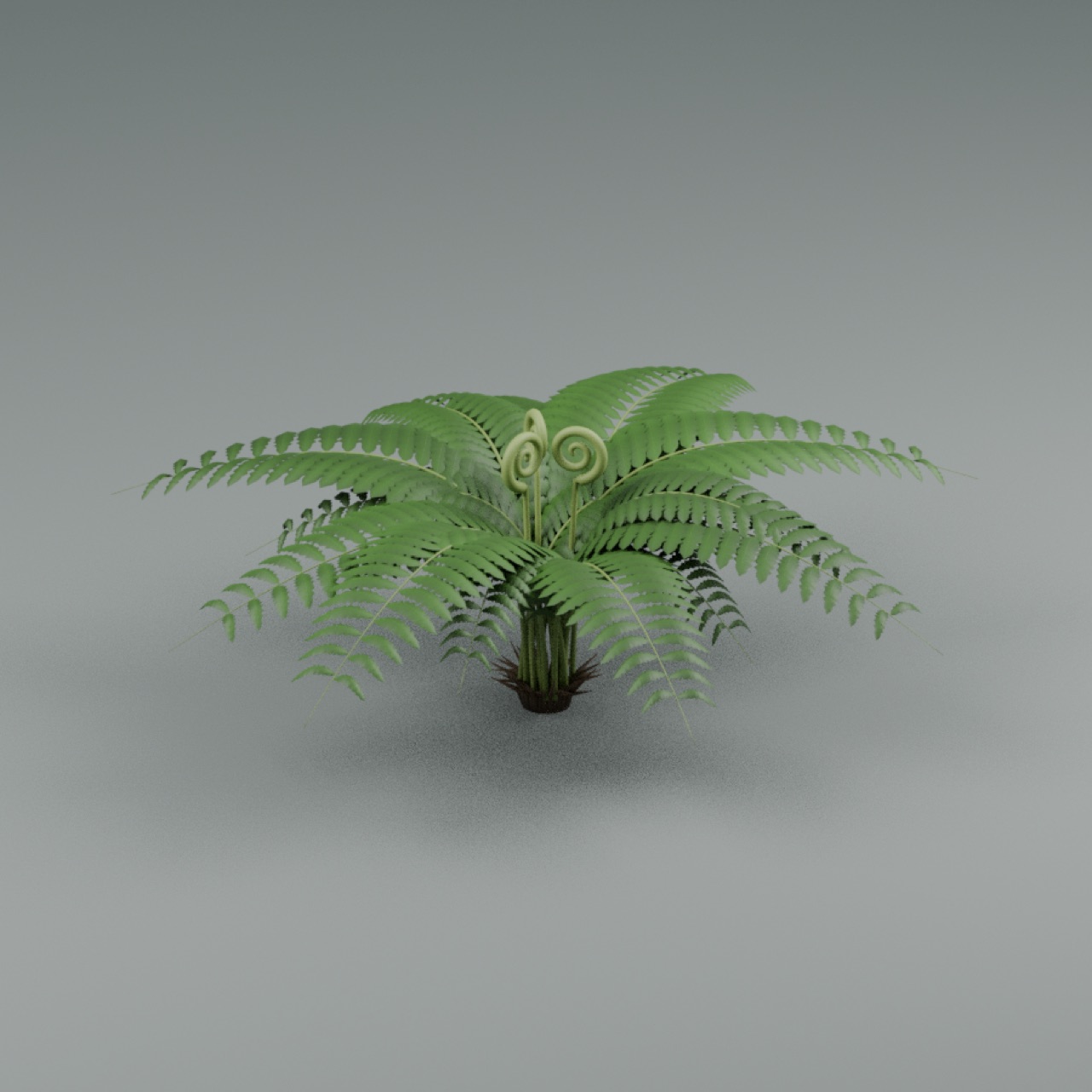 Fern Clump full model preview
