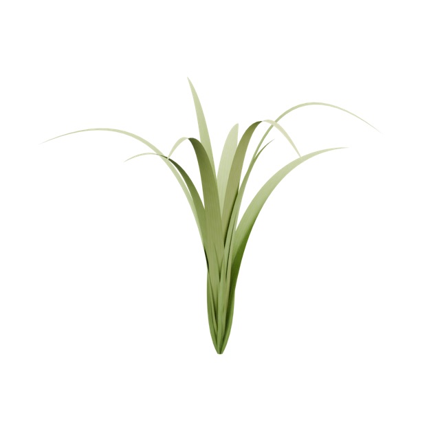 Gerenderte Vorschau des tatsächlichen 3D-Modells: Grass Clump A