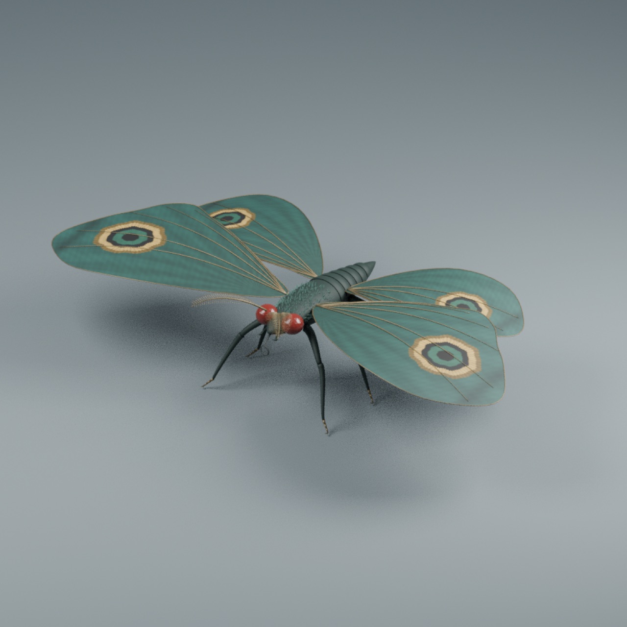 Vesper Moth full model preview