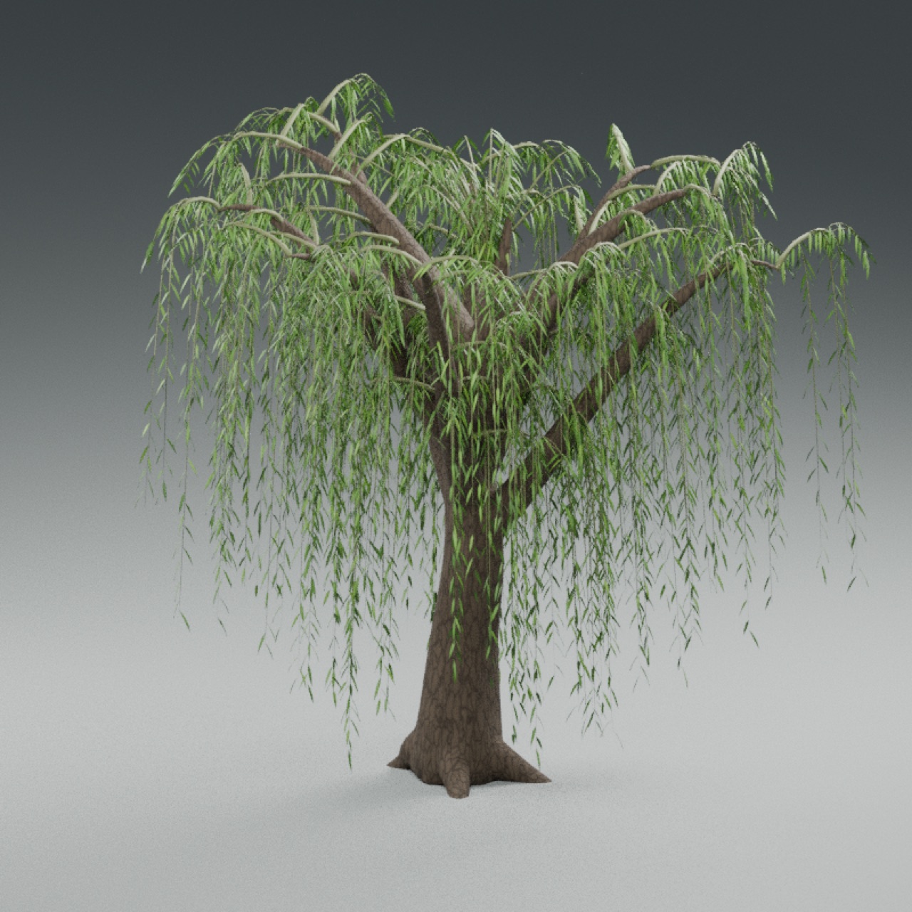 Weeping Willow full model preview